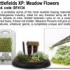 Meadow Flowers