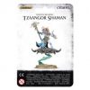 TZEENTCH ARCANITES TZAANGOR SHAMAN