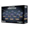 Primaris Reivers