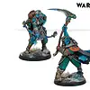 Varank Supports