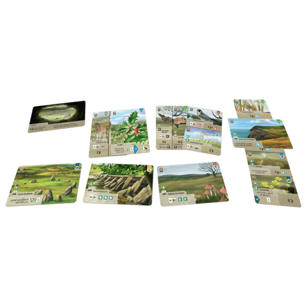 Tienda Online de Miniaturas, Juegos de Rol y Juegos de Mesa | Ludus Belli