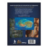 8436625611604-1200-backflat El Archivo de las Tormentas - Mapas de aventura