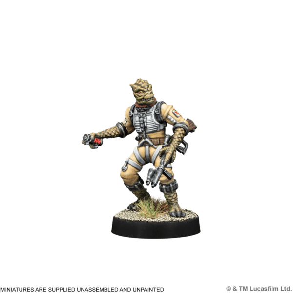 swq44_4 Galactic Bounty Hunters